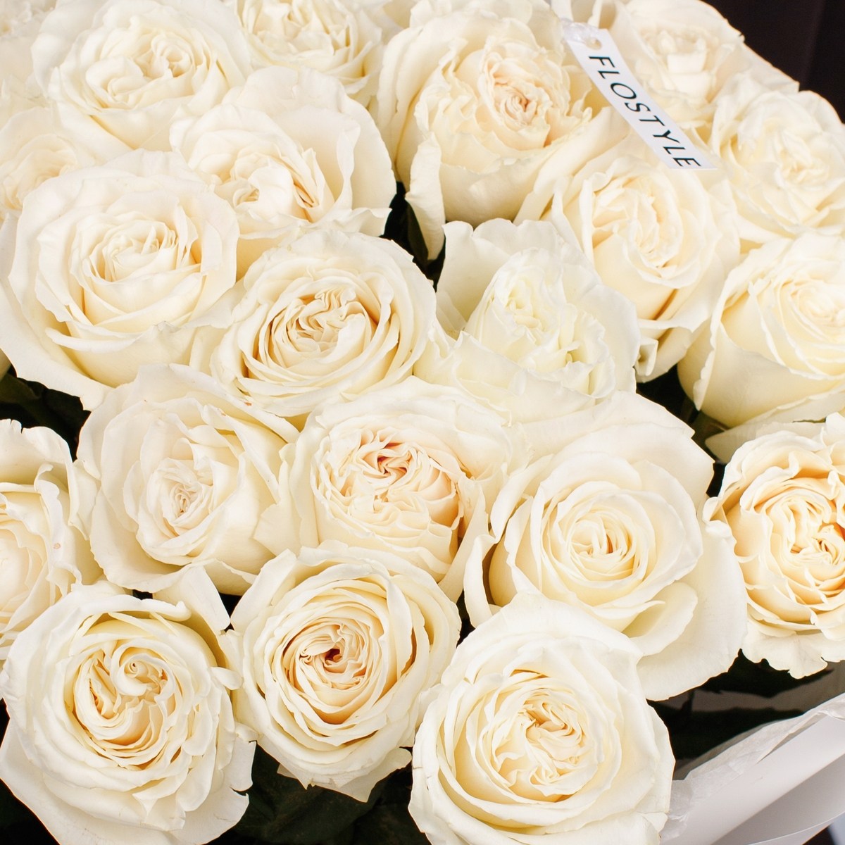 25 belyh roz 6